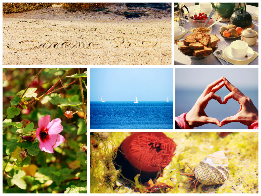 Petit dej au soleil de Bretagne, Mer turquoise, abeille, magie aquatique, Sirène Bio sur le sable...